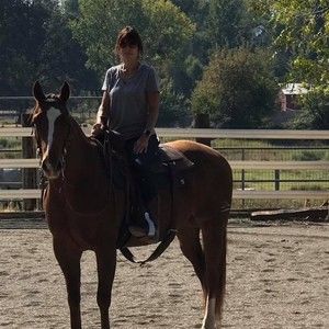 Meet your Posher, Debbie booher-